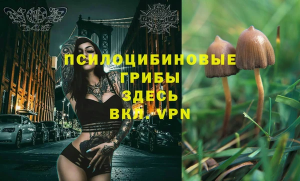 каннабис Медногорск
