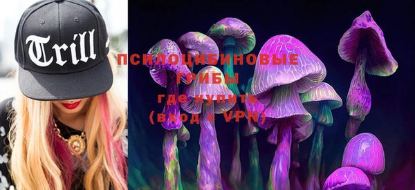 винт Михайлов