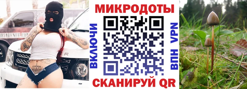 наркота Краснообск Галлюциногенные грибы Psilocybe
